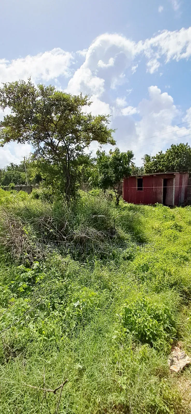For Sale 2 Prime Eigth Acre Plots Shanzu in Shanzu