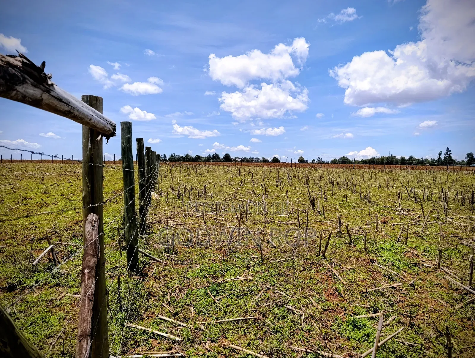 Plots for Sale in Illula Near Haven Centre in Illula
