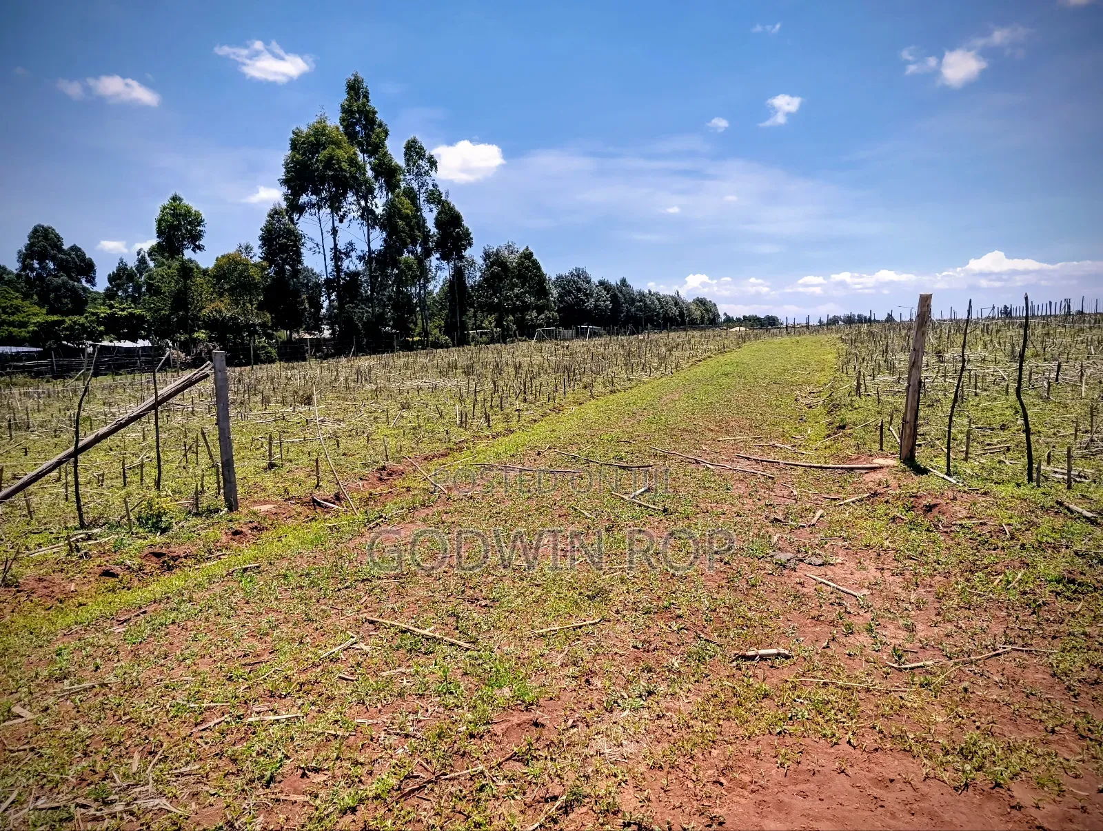 Plots for Sale in Illula Near Haven Centre in Illula