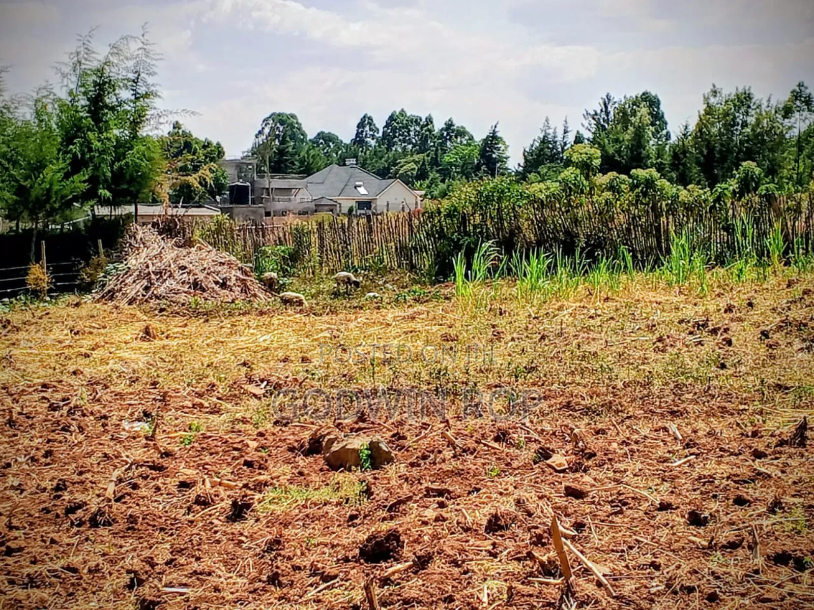 3 Points Land for Sale in Eldoret Kapsaret Lemook in Simat