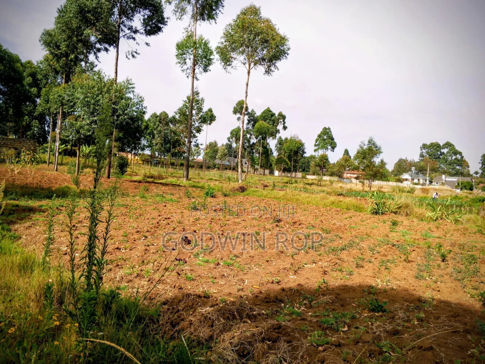1⁄2 Acre Land for Sale in Upper Elgon View Eldoret. in Elgon View