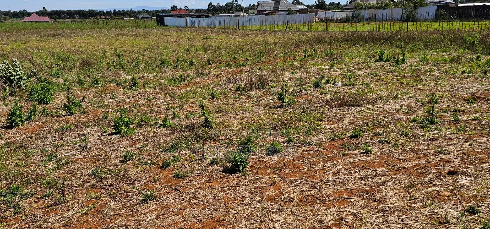 Plots For Sale In Eldoret Chepkanga Chemaluk in Sergoit