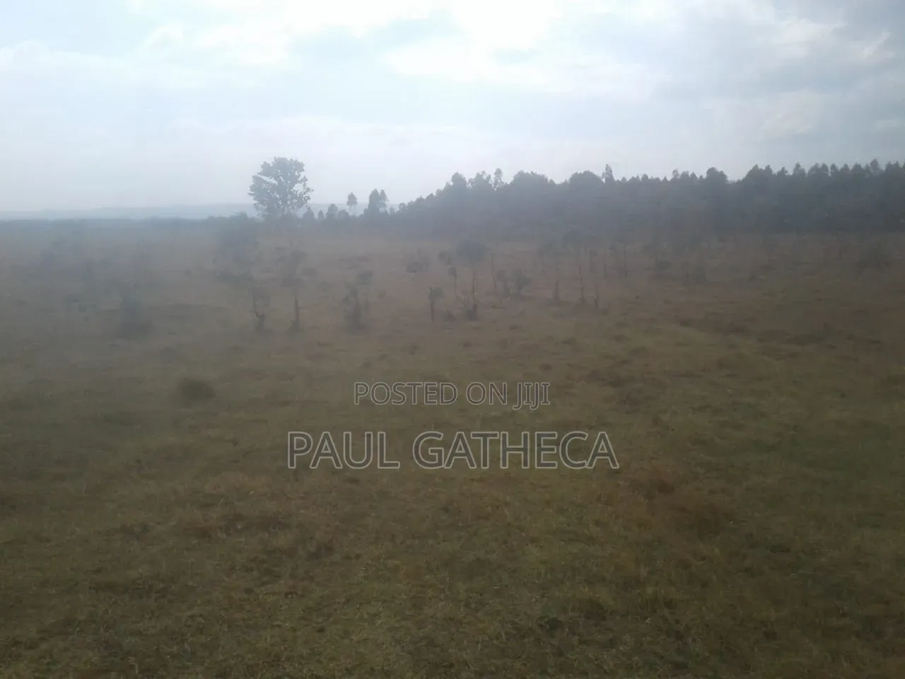 Agricultural Land for Sale in Central Ndaragwa