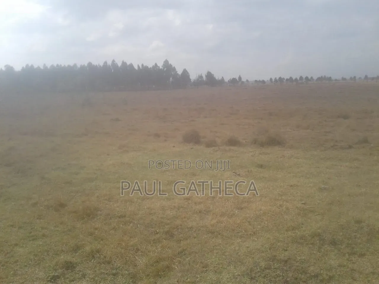 Agricultural Land for Sale in Central Ndaragwa