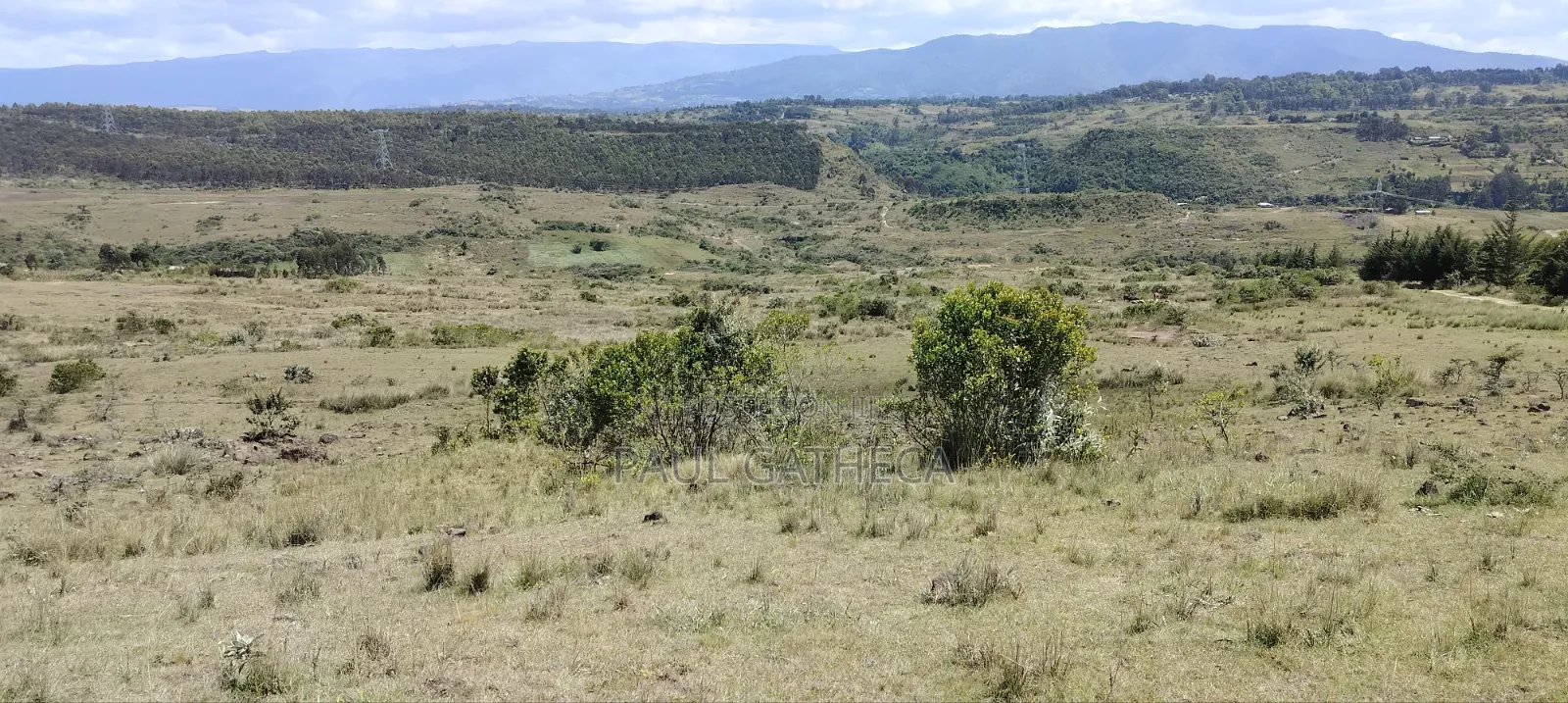 Agricultural Land for Sale in Kaimbaga