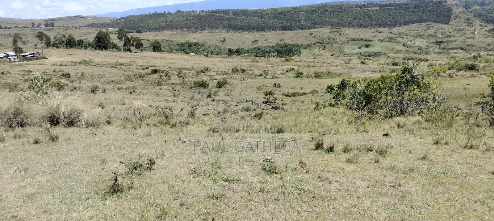Agricultural Land for Sale in Kaimbaga