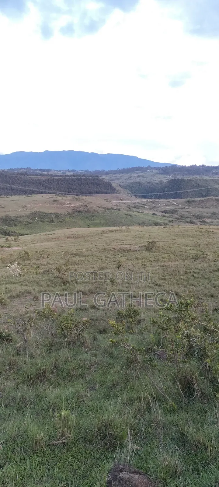 Land for Sale in Kaimbaga