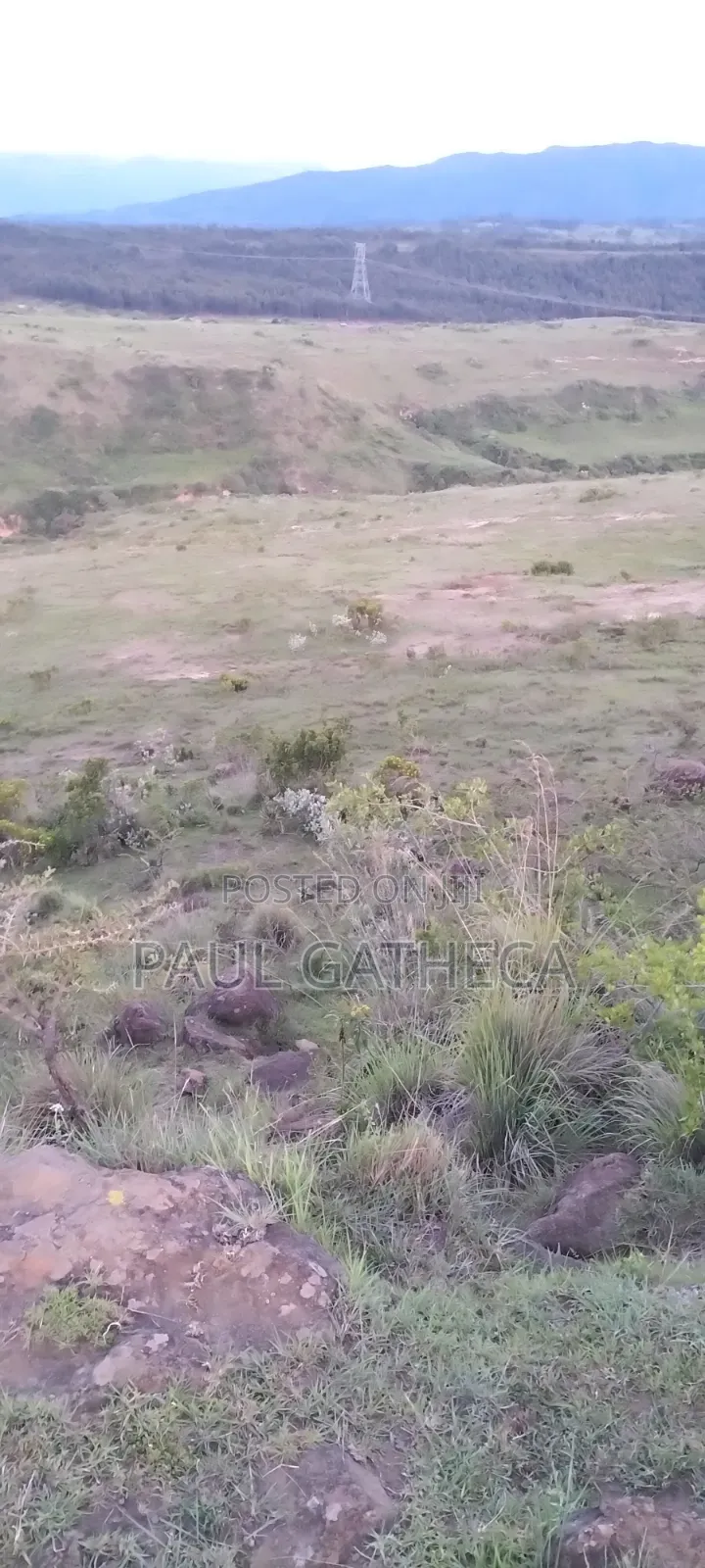 Land for Sale in Kaimbaga