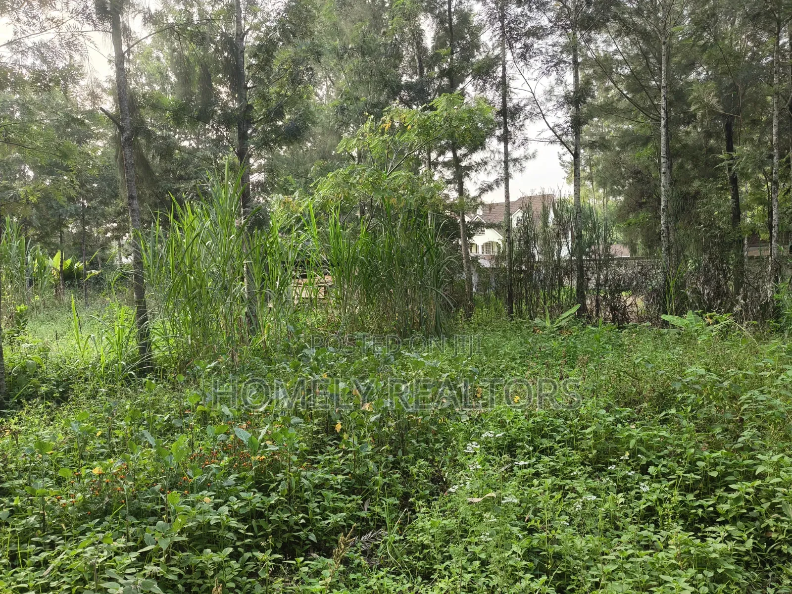 Residential Eighth Acre (50*100) Plot for Sale in Kerarapon Drive in Kerarapon