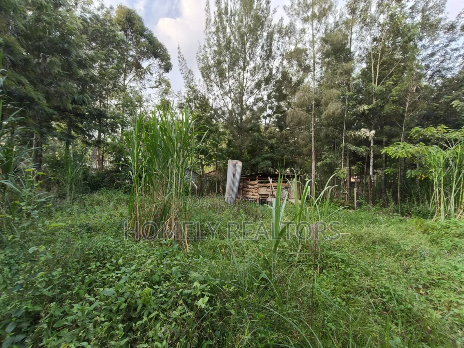 Residential Eighth Acre (50*100) Plot for Sale in Kerarapon Drive in Kerarapon