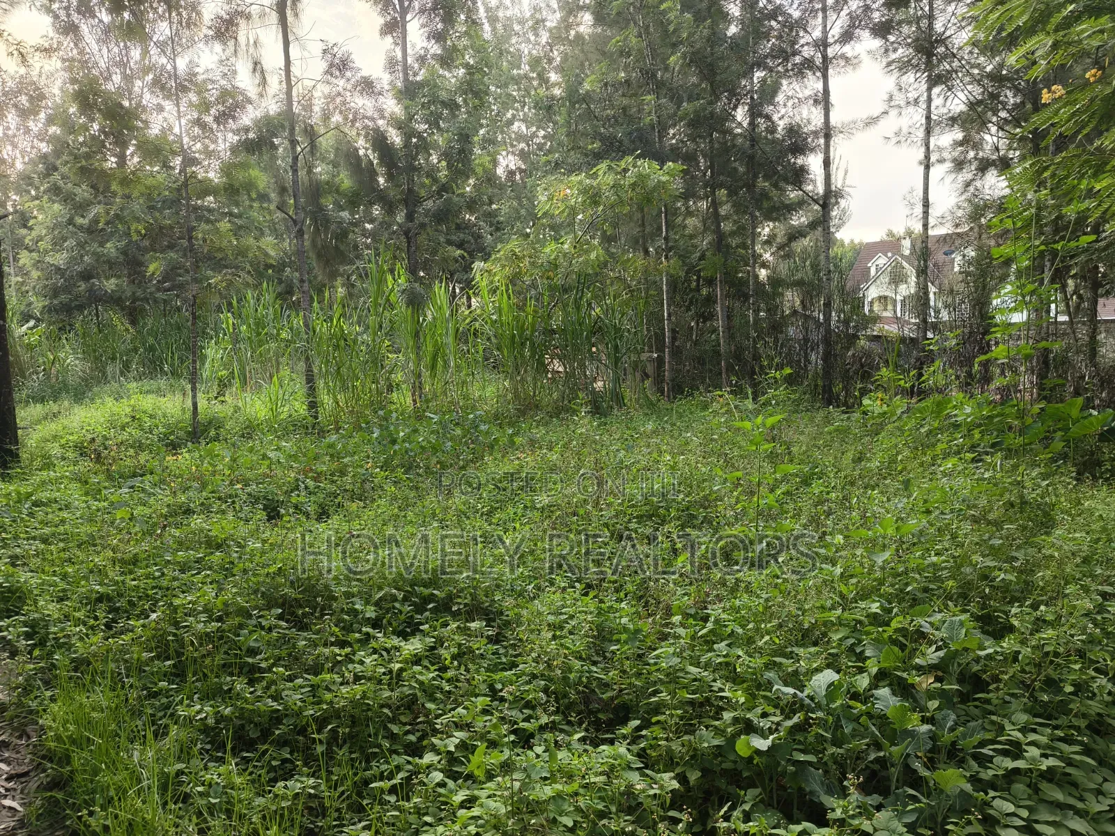 Residential Eighth Acre (50*100) Plot for Sale in Kerarapon Drive in Kerarapon