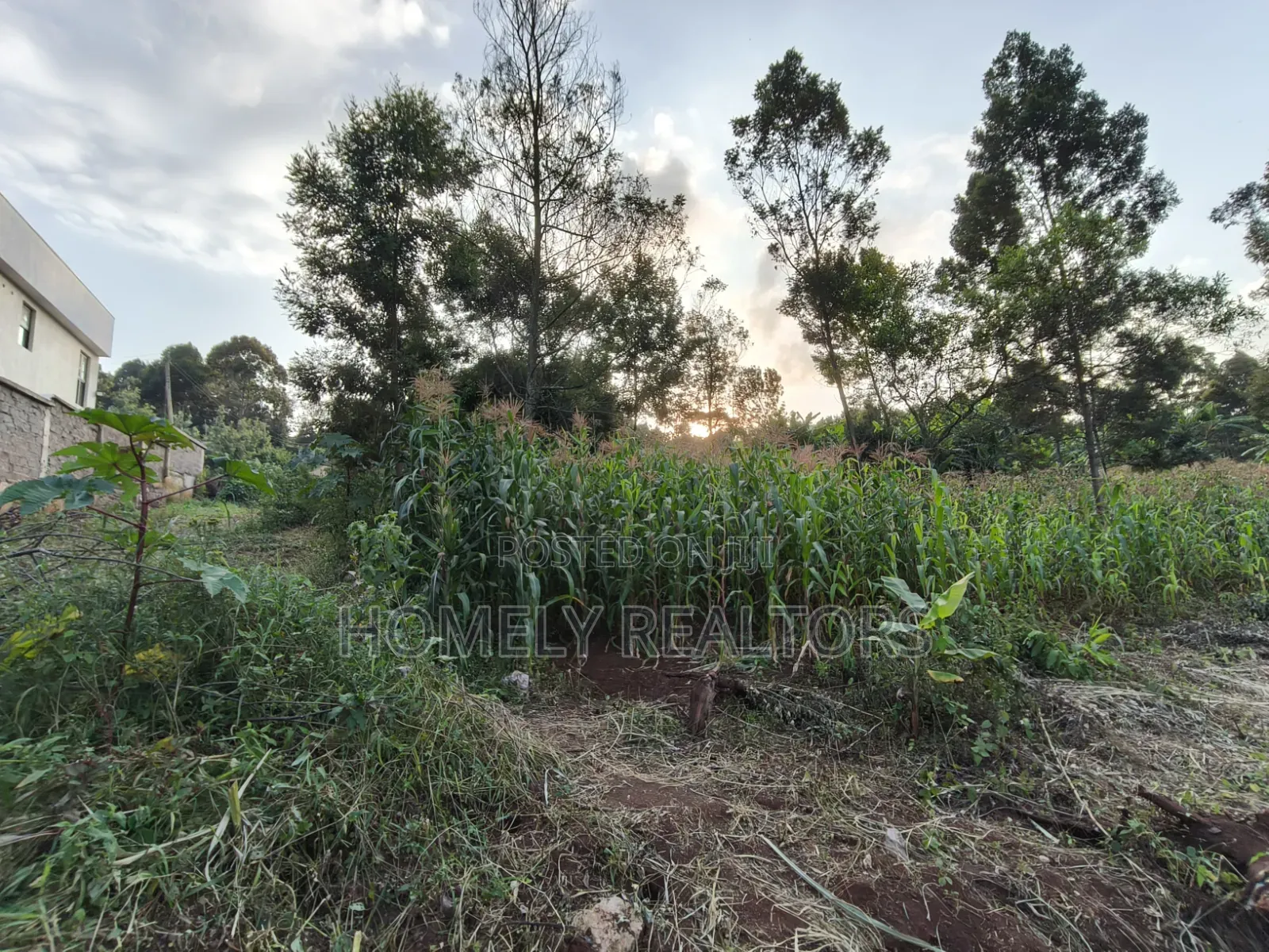Affordable Eighth Acre Plot for Sale in Kerarapon Drive. Red Soil Land in Kerarapon