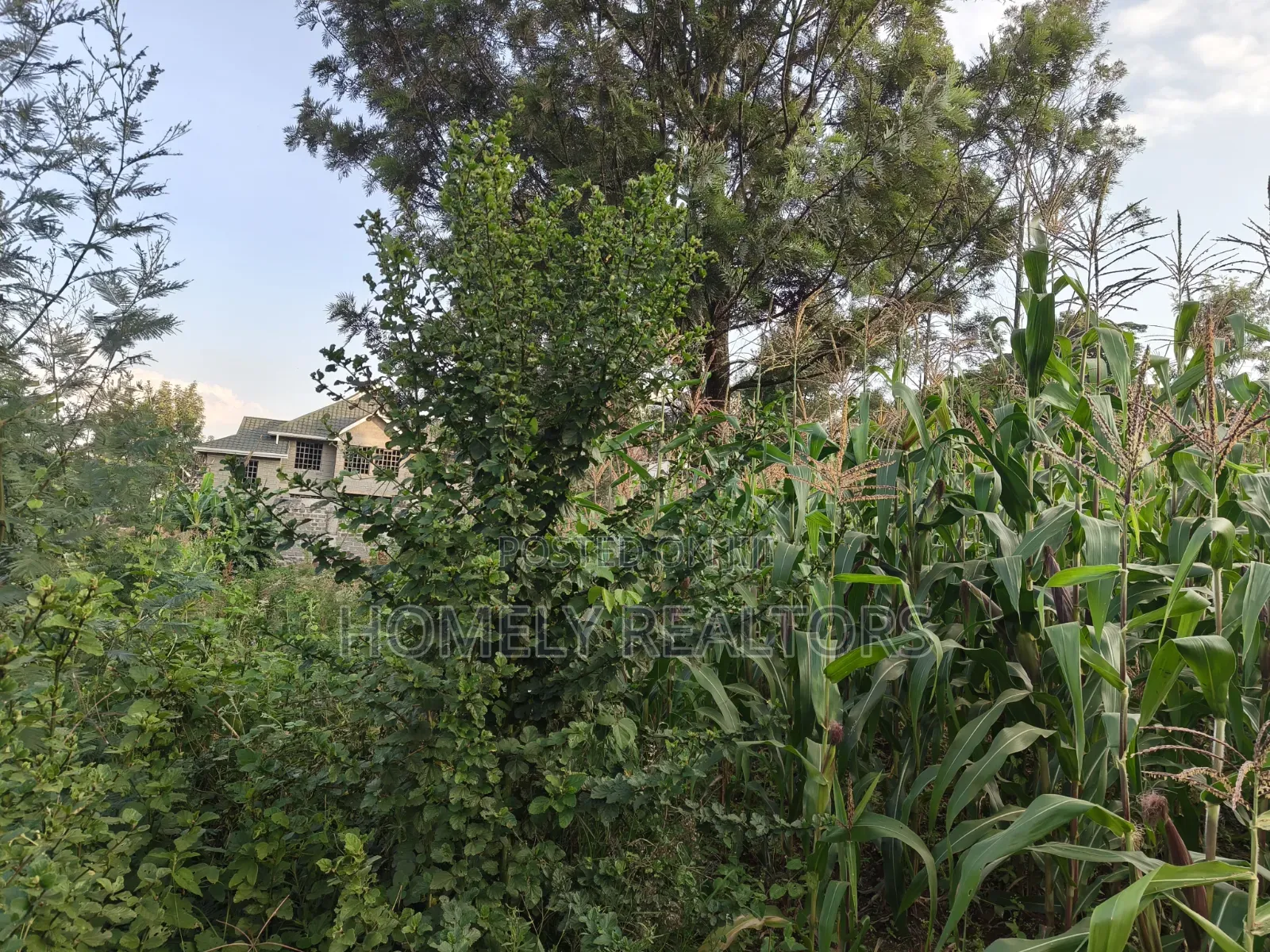 Affordable Eighth Acre Plot for Sale in Kerarapon Drive. Red Soil Land in Kerarapon