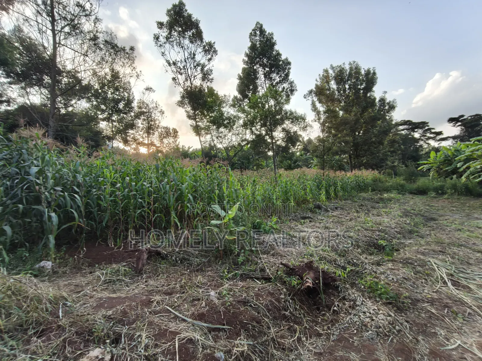 Affordable Eighth Acre Plot for Sale in Kerarapon Drive. Red Soil Land in Kerarapon