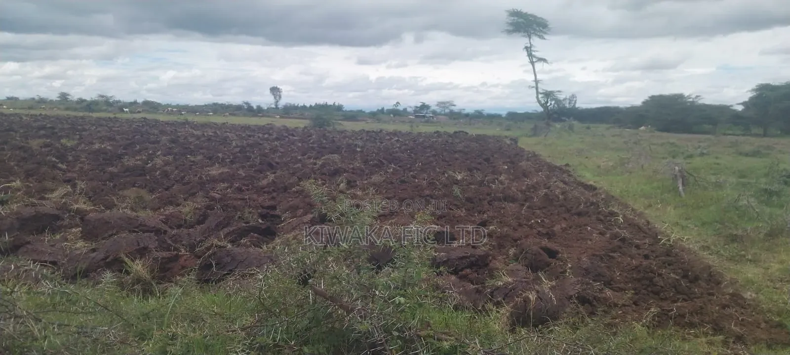 8000 Acres for Sale Rumuruti, Laikipia County in Bahati / Laikipia Central