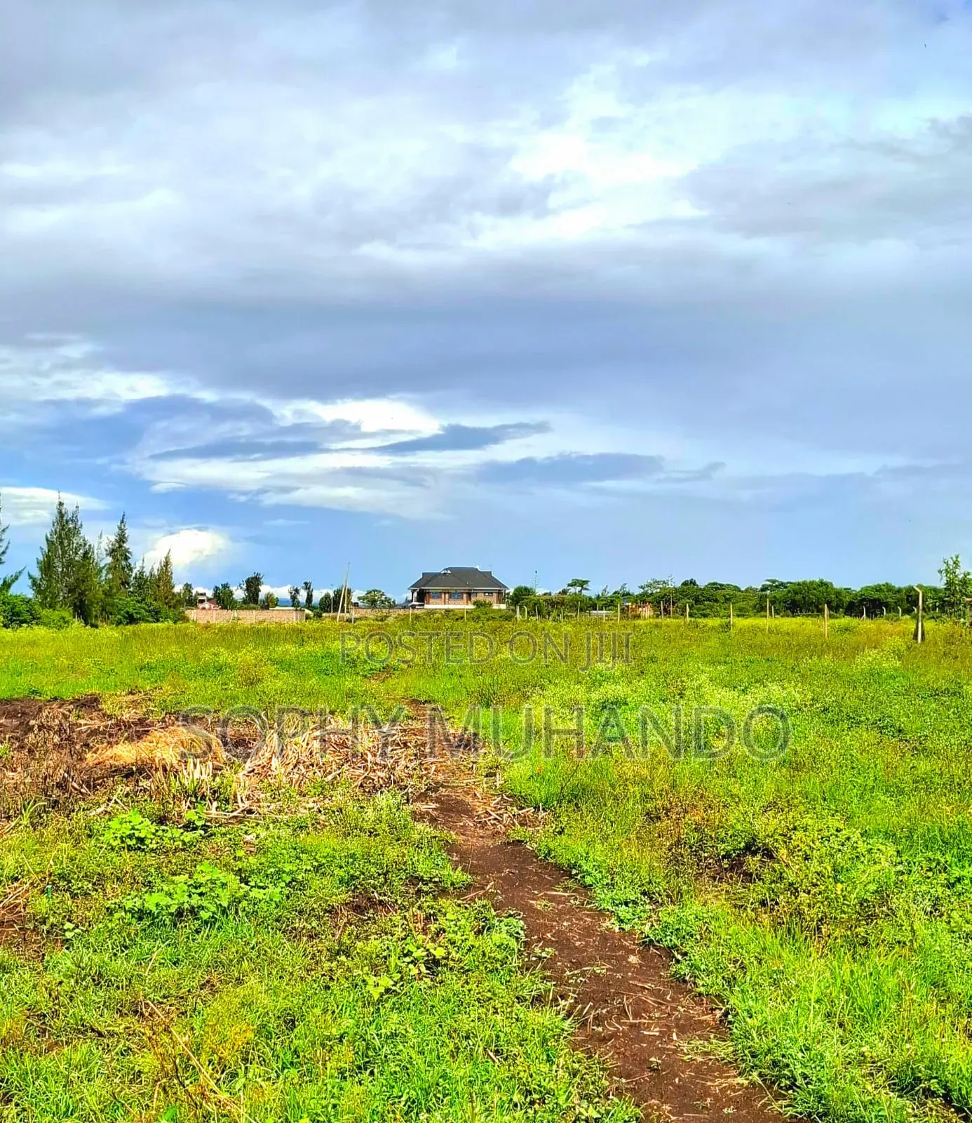 Gikumari 50x80 Plot for Sale at 1m Along Rainbow-Gikumari Tarmac in Kamakis