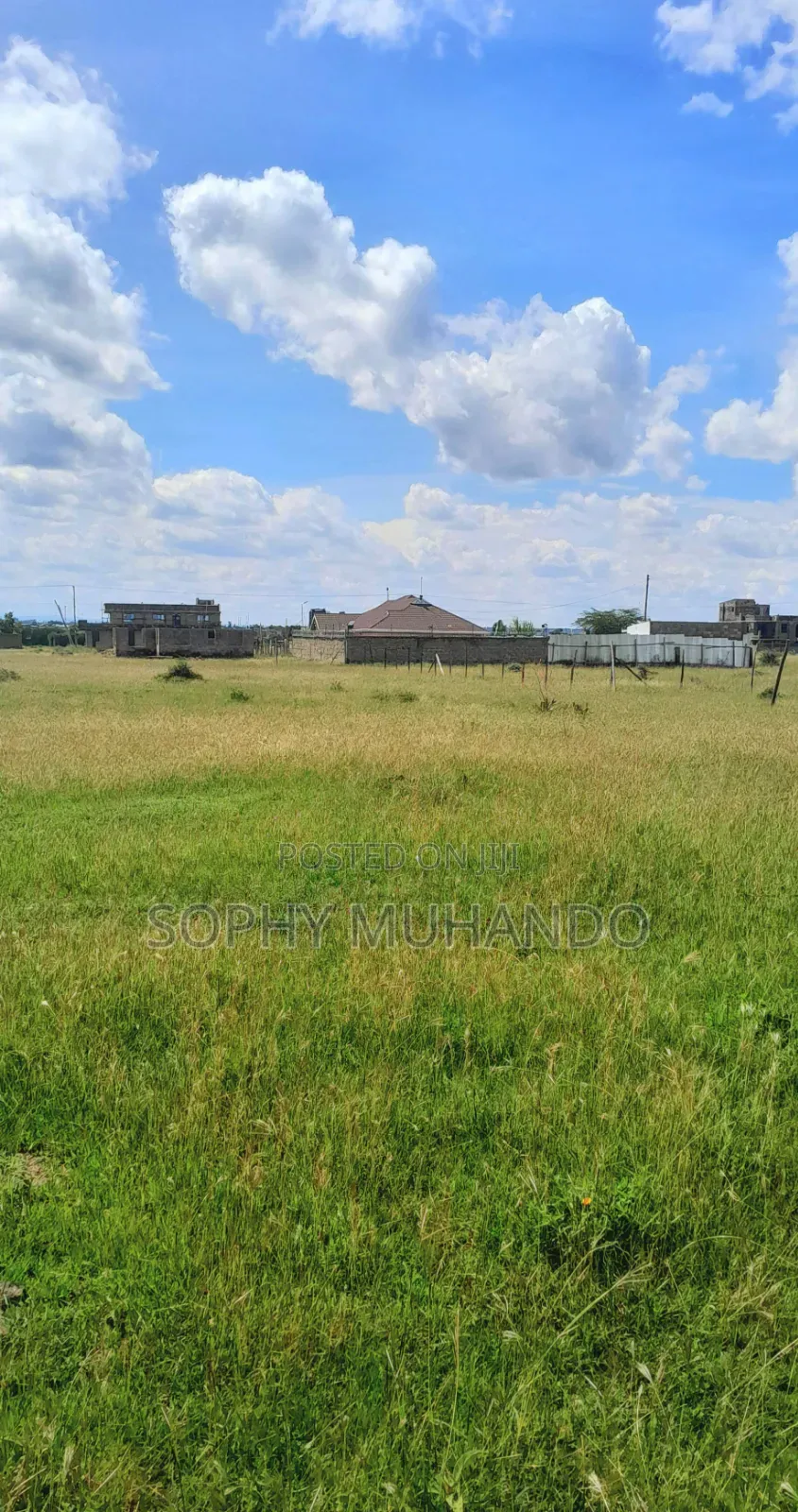 Gikumari 50x80 Plot for Sale at 1m Along Rainbow-Gikumari Tarmac in Kamakis