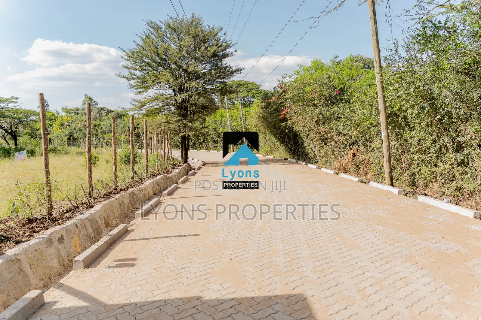1/4 Acre Land For Sale in Maasai Lodge