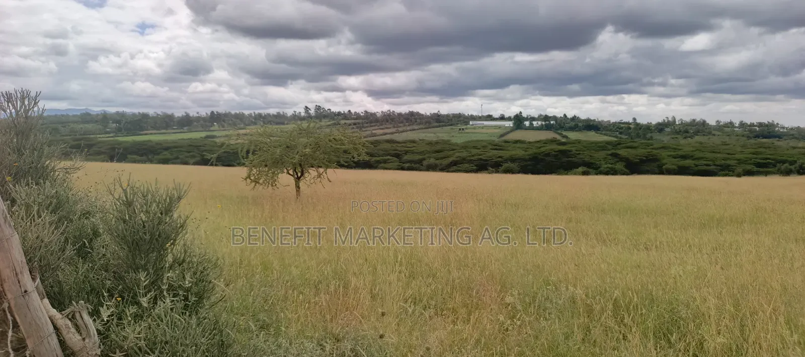 15 Acres for Sale in Kiserian in Kiserian