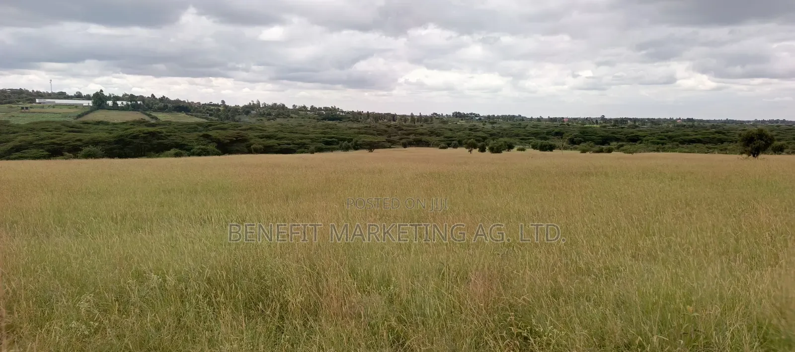 15 Acres for Sale in Kiserian in Kiserian