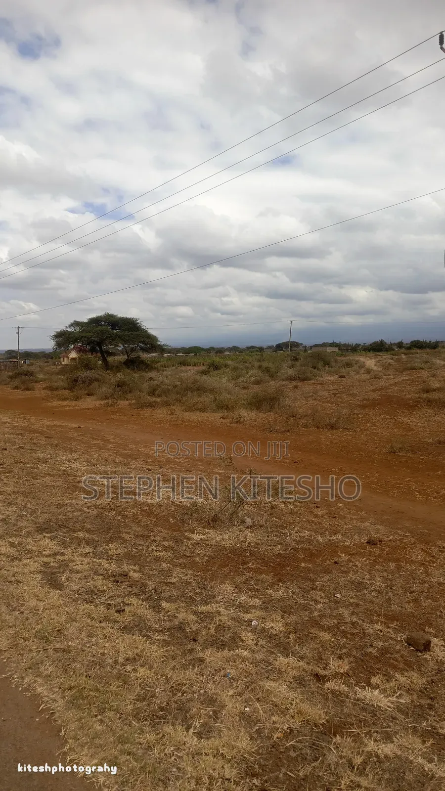 Ready Title 15acres Imbrrikani Land in Mbirikani