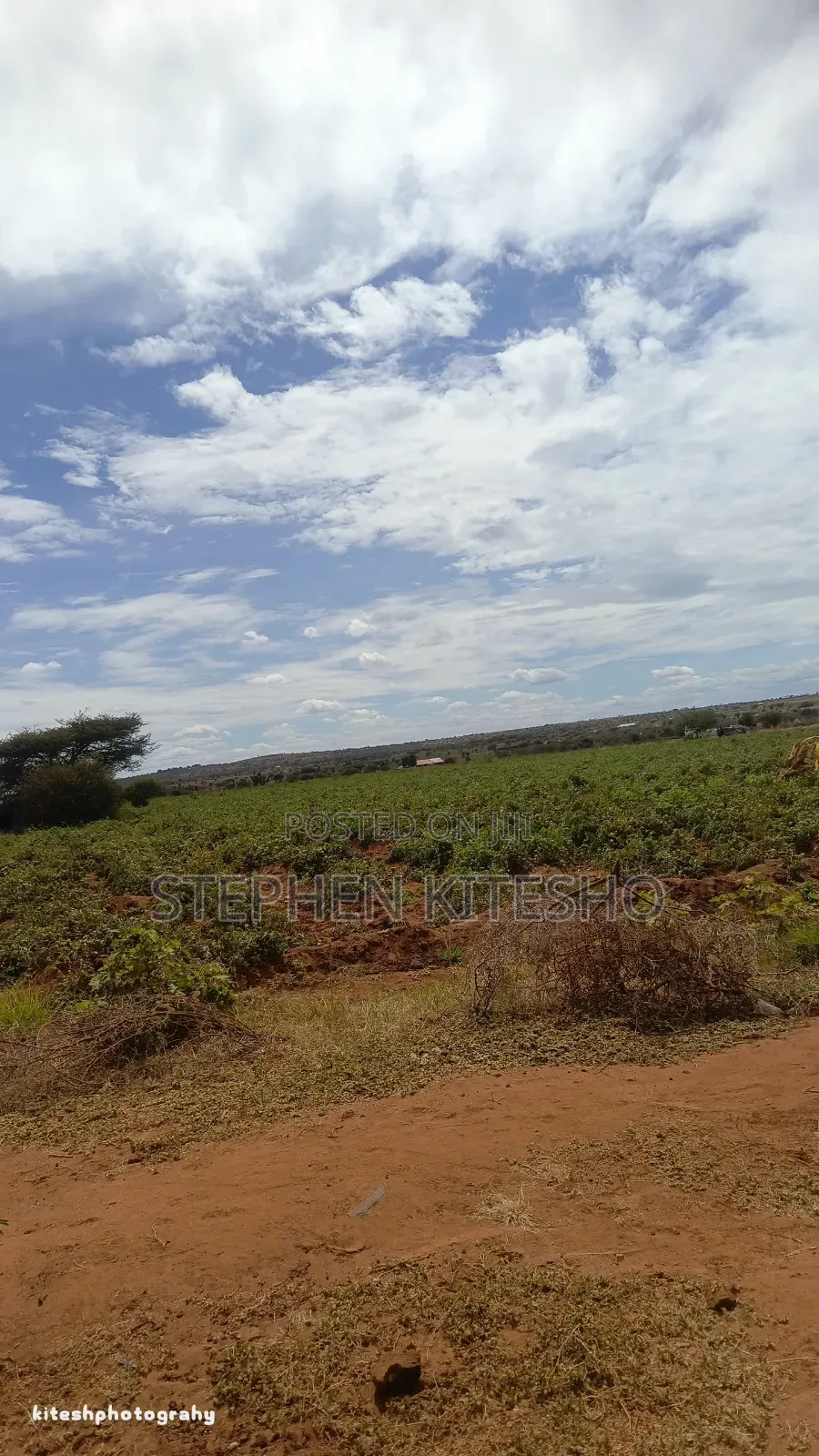 5acres for Sale Along Simba Cement Tarmac Road Near Pipeline in Kimana