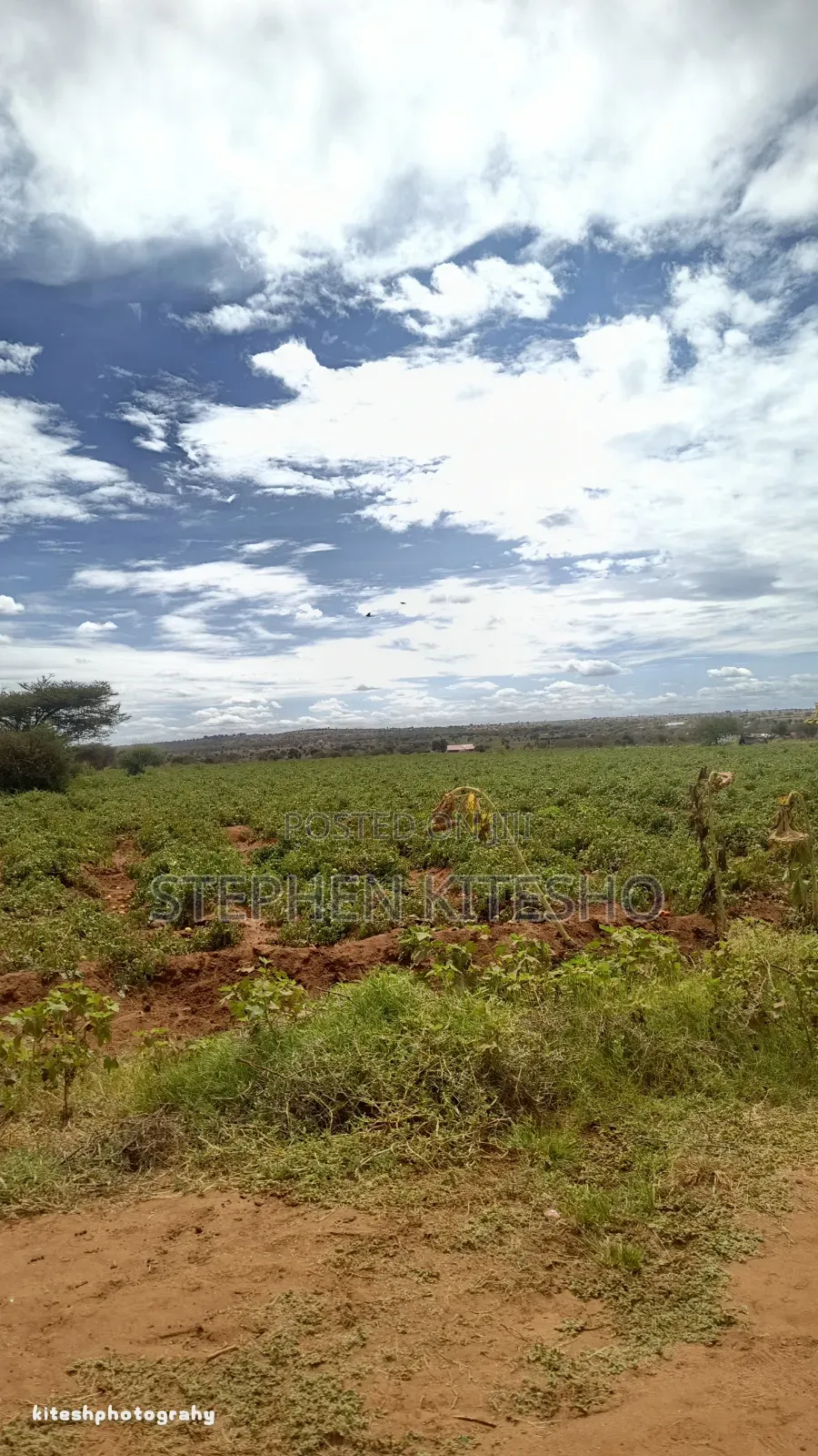 5acres for Sale Along Simba Cement Tarmac Road Near Pipeline in Kimana