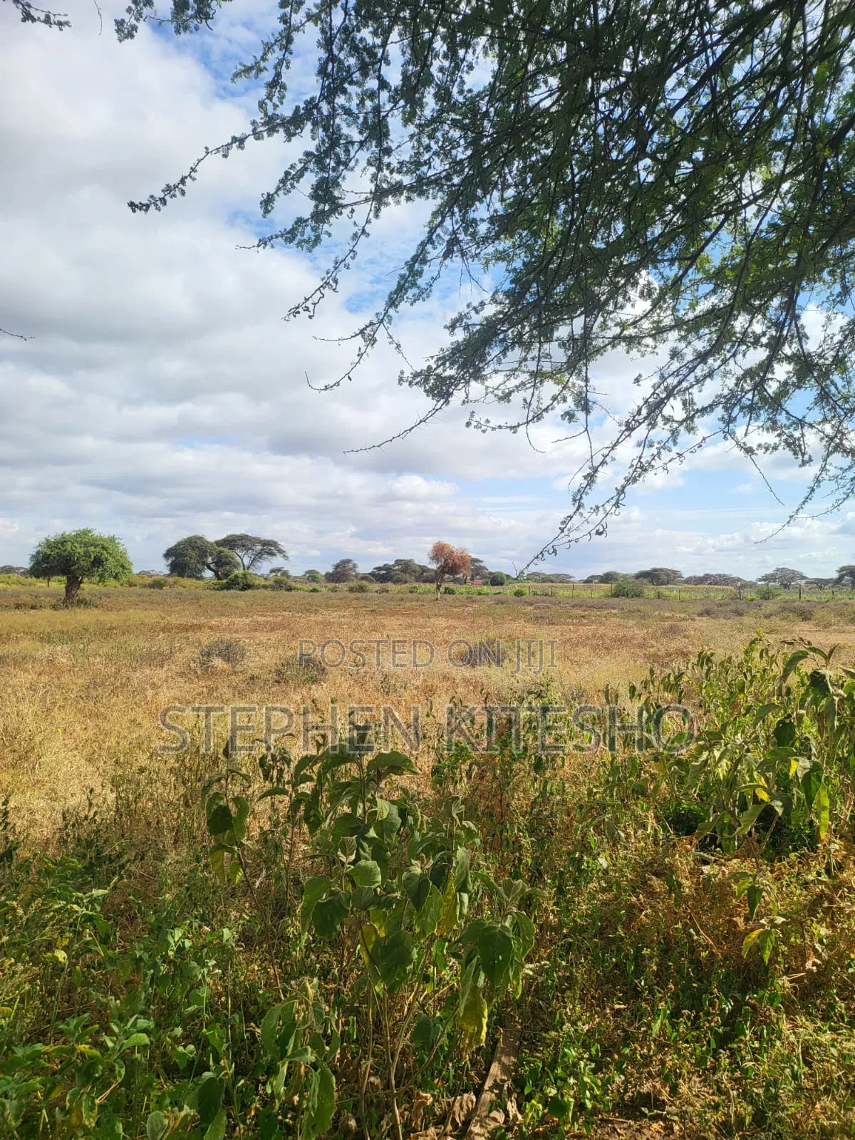47acres for Sale Located Mashuru Highway in Kimana