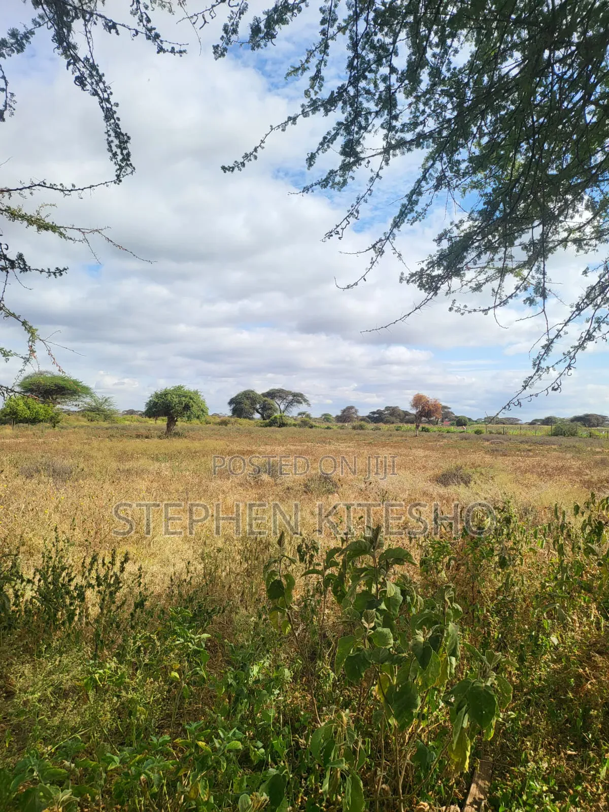 47acres for Sale Located Mashuru Highway in Kimana