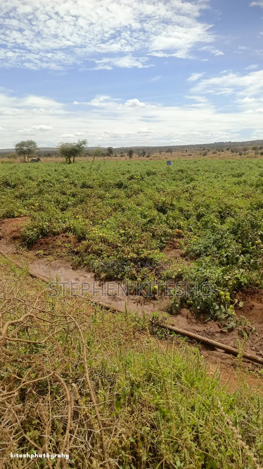 10acres for Sale at Loitoktok Imbrrikani Area in Kimana