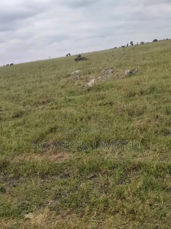 100 Acres Prime Land for Sale in Kipeto Kajiado in Mbirikani