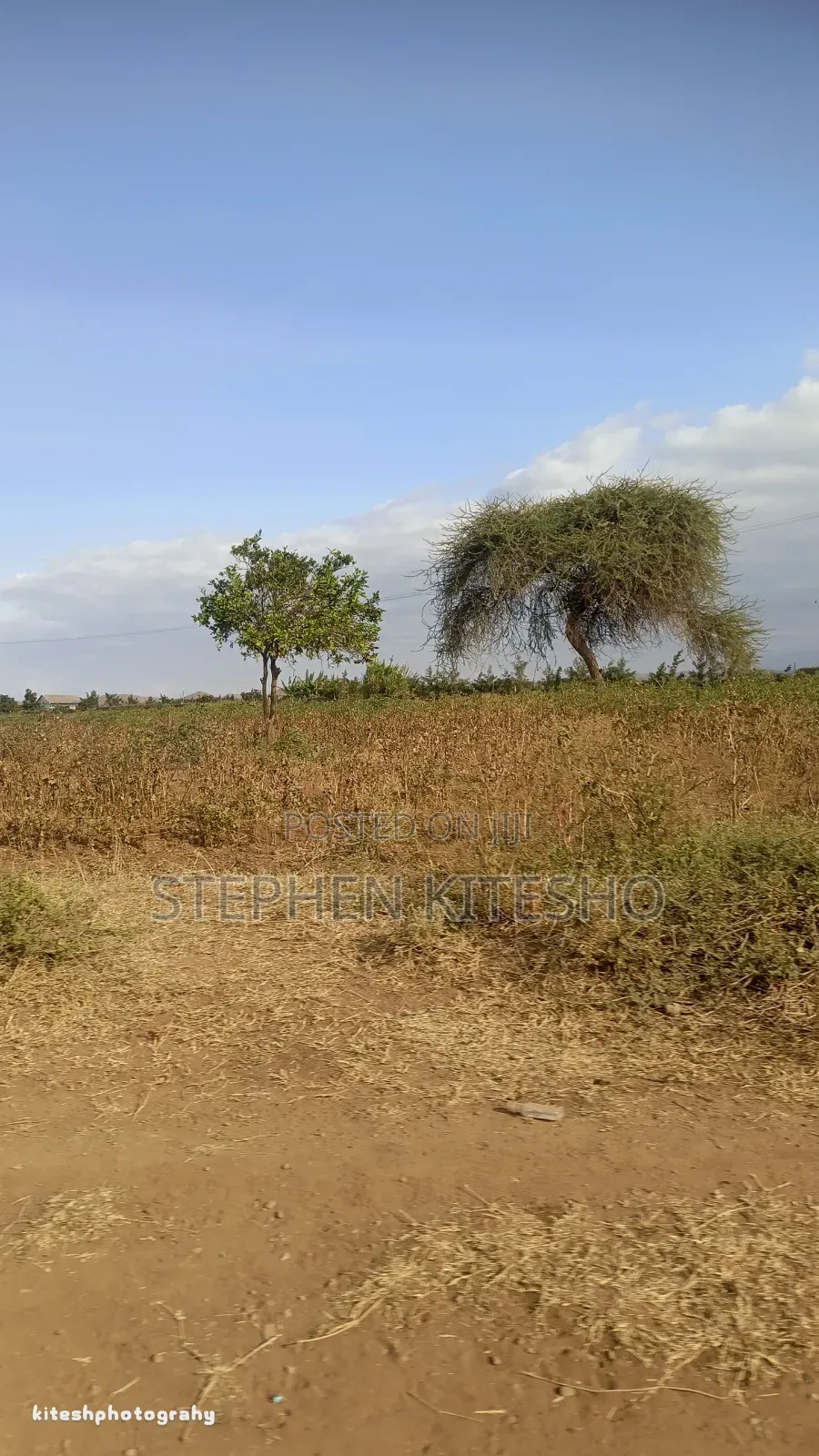 9acres for Sale at Loitoktok Kimana Area in Kimana