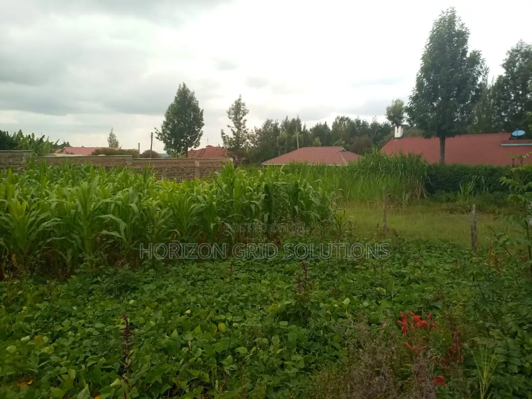 Half Acre Kileleshwa in Kileleshwa