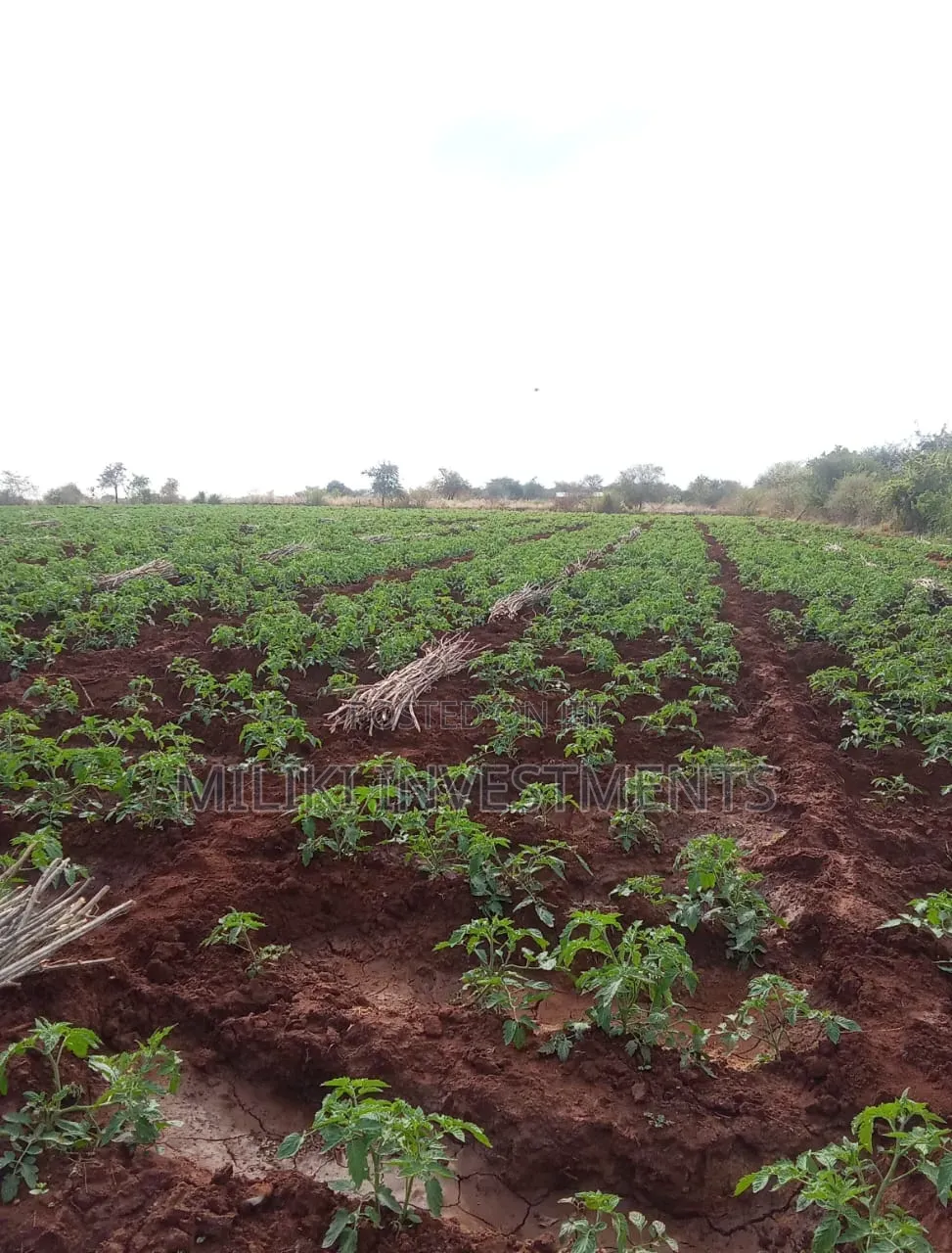 200 Acres on Sale at Macakos-Masinga in Ndithini