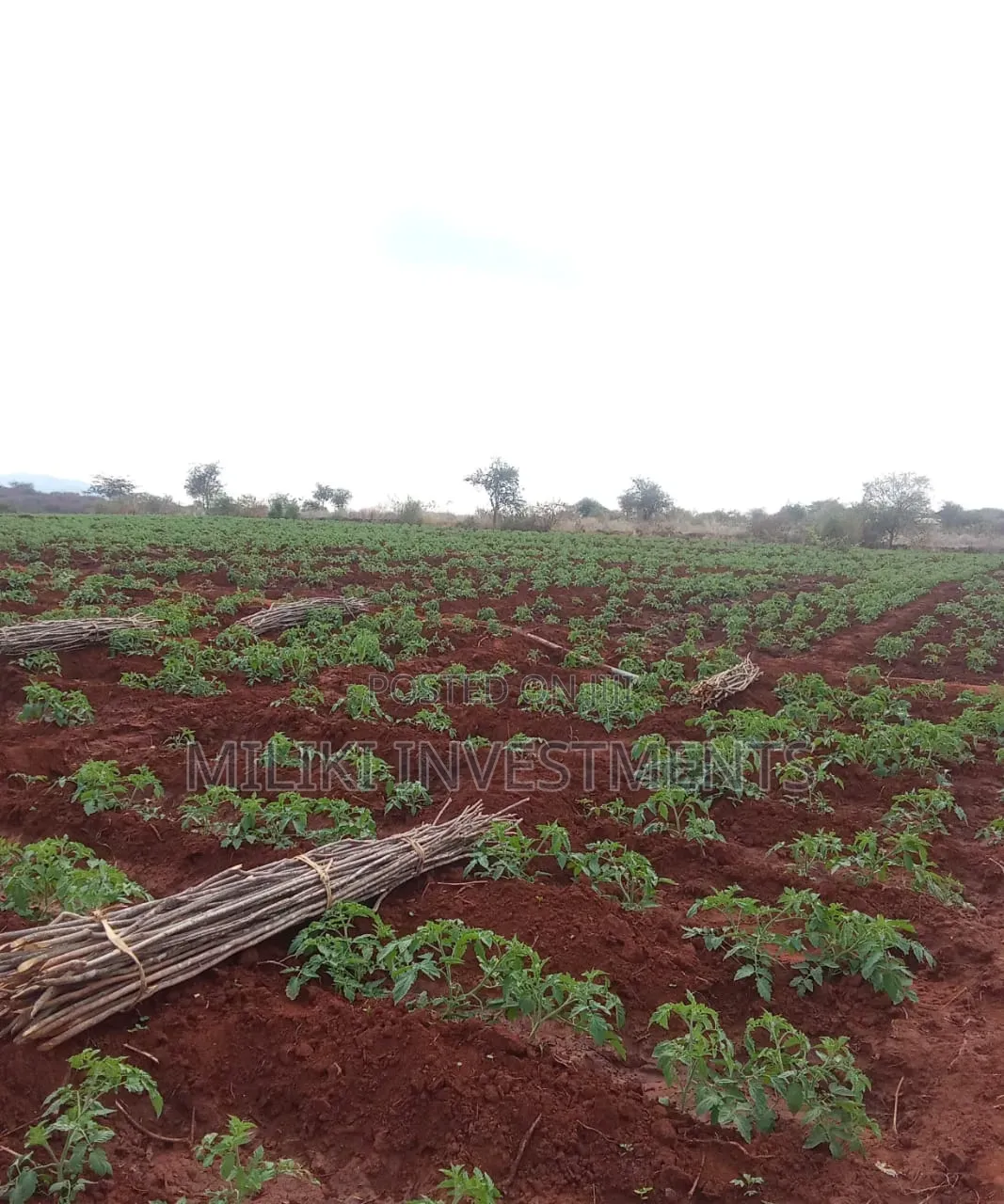200 Acres on Sale at Macakos-Masinga in Ndithini