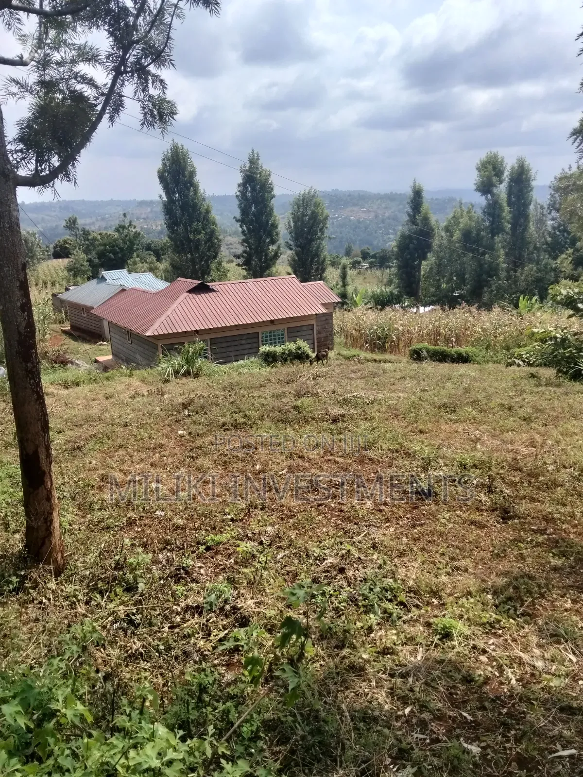 40 by 80 Plots on Sale at Kenol-Kagaa in Kimorori/Wempa