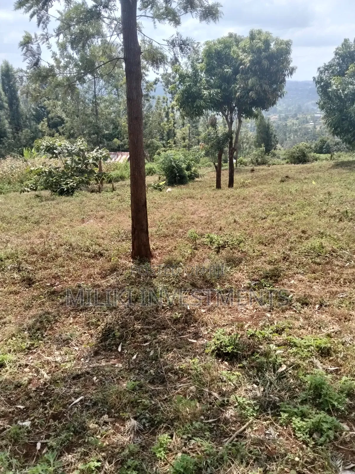 40 by 80 Plots on Sale at Kenol-Kagaa in Kimorori/Wempa