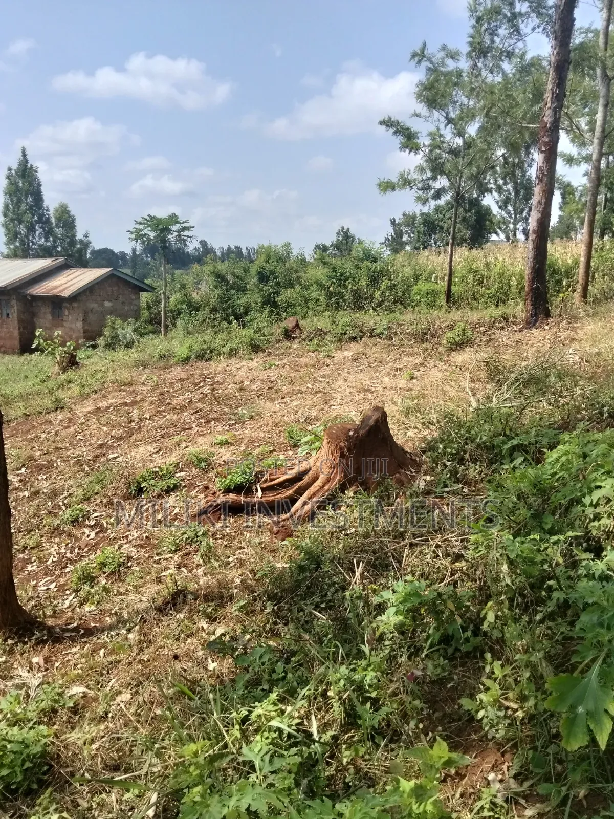 40 by 80 Plots on Sale at Kenol-Kagaa in Kimorori/Wempa