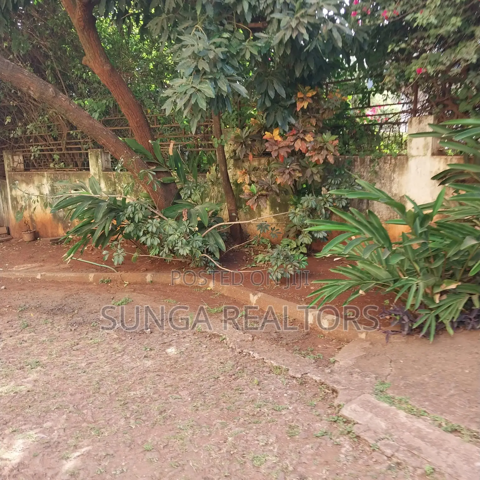 Commercial Space to Let in Brookside in Kyuna Estate