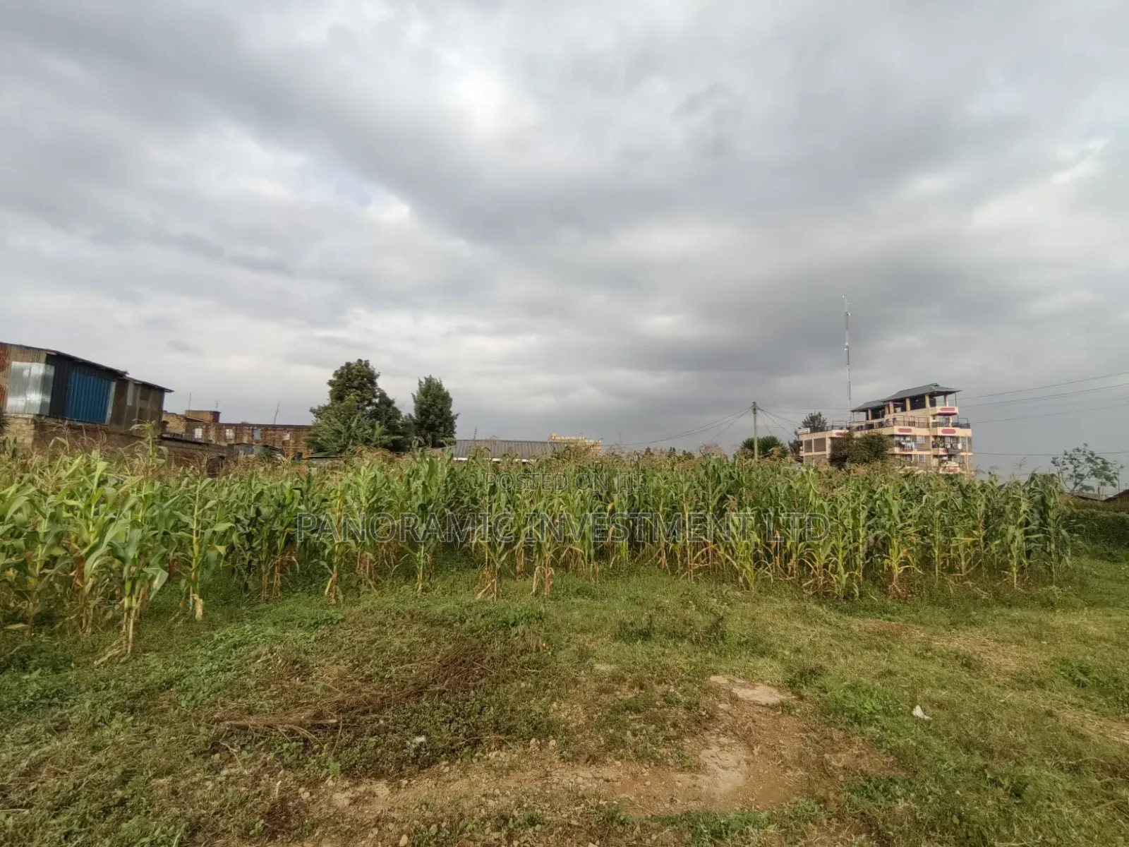 100x100 Plot for Sale in Gikambura Town Kikuyu Kiambu County in Kikuyu