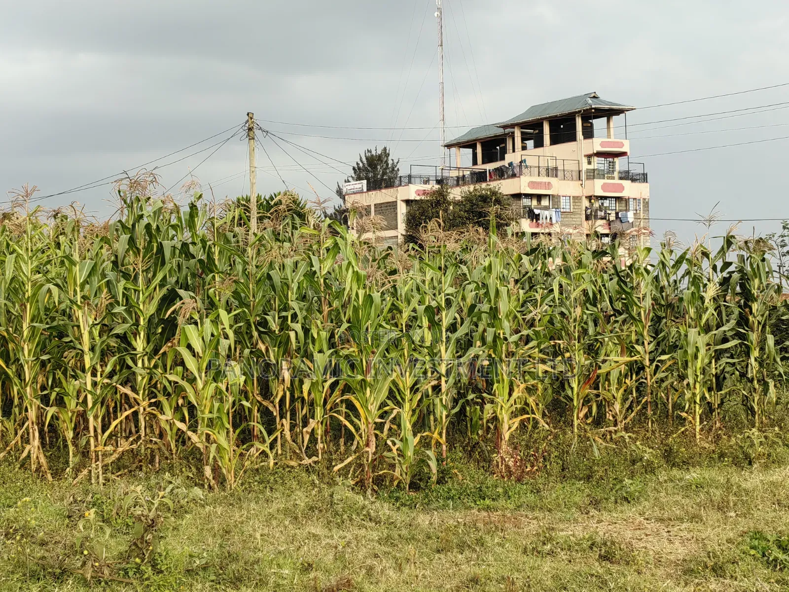 100x100 Plot for Sale in Gikambura Town Kikuyu Kiambu County in Kikuyu