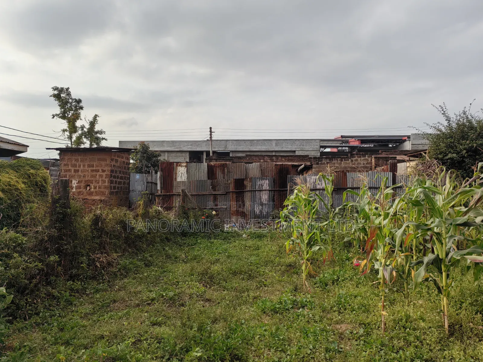 100x100 Plot for Sale in Gikambura Town Kikuyu Kiambu County in Kikuyu