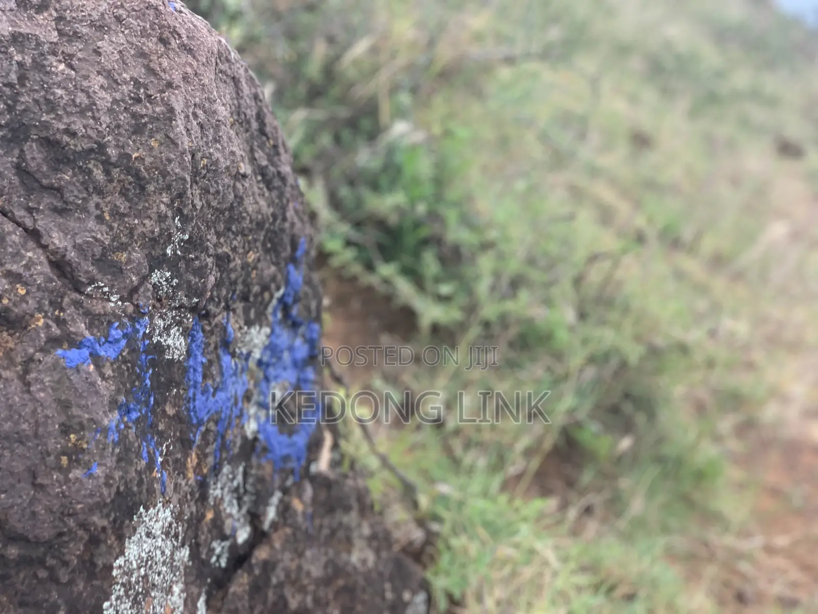 5 Acres Thigio / Ndiuni 5 Acres Touching Tarmac in Ndeiya