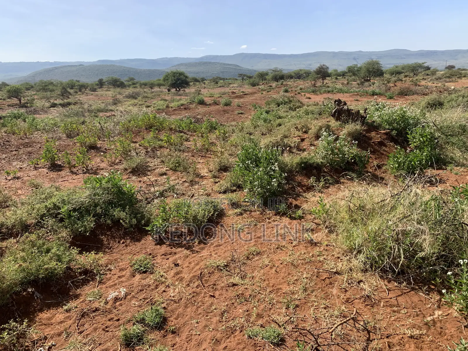 1/2 Acre Ewuaso Kedong Touching Tarmac in Ewuaso Oonkidong'I