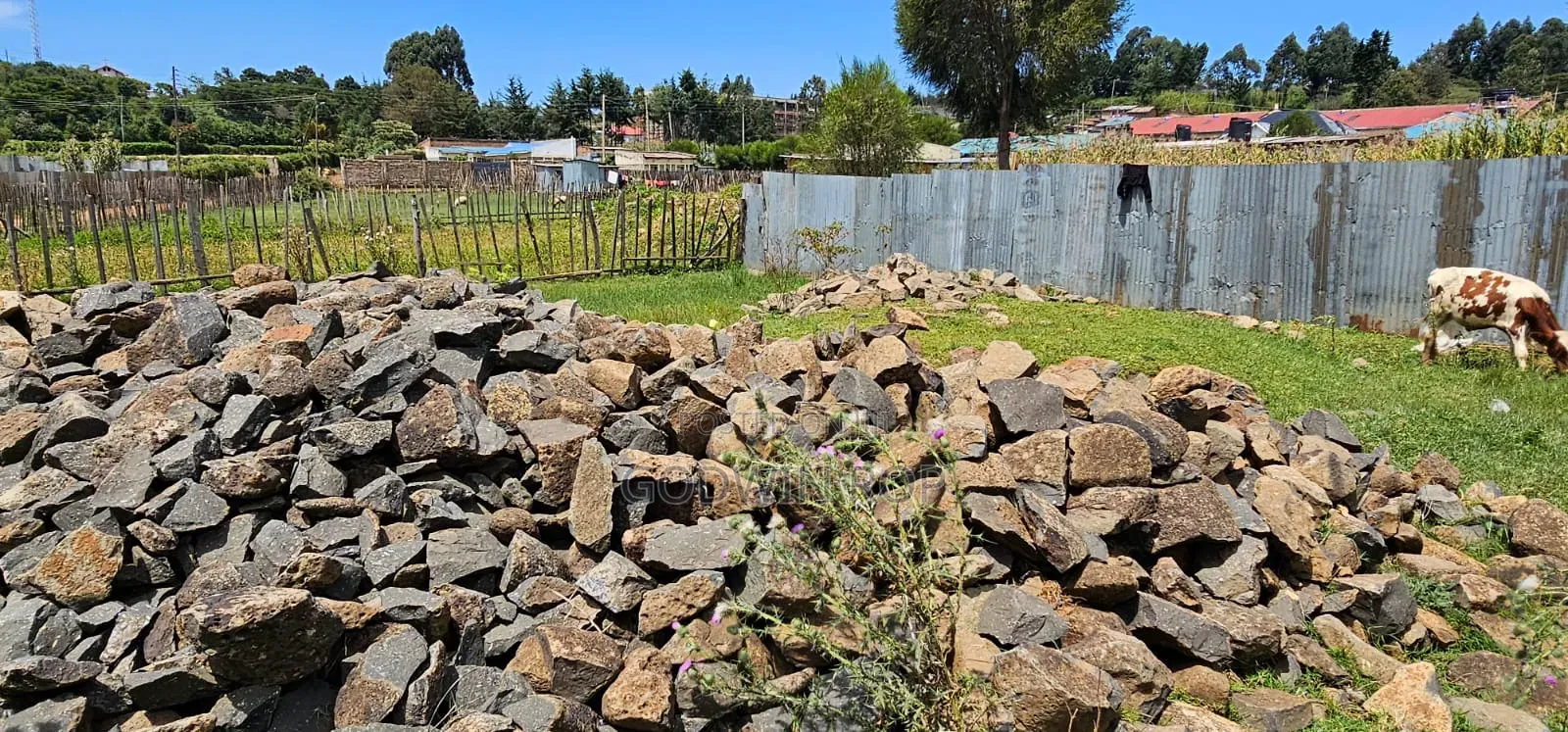 50 by 100 Commercial Plot for Sale in Kipkorgot Eldoret in Kapsoya