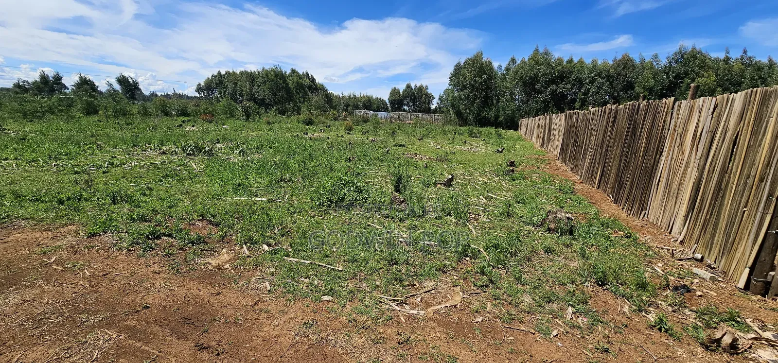Prime Plots for Sale in Annex Bethel Eldoret in Kipchamo
