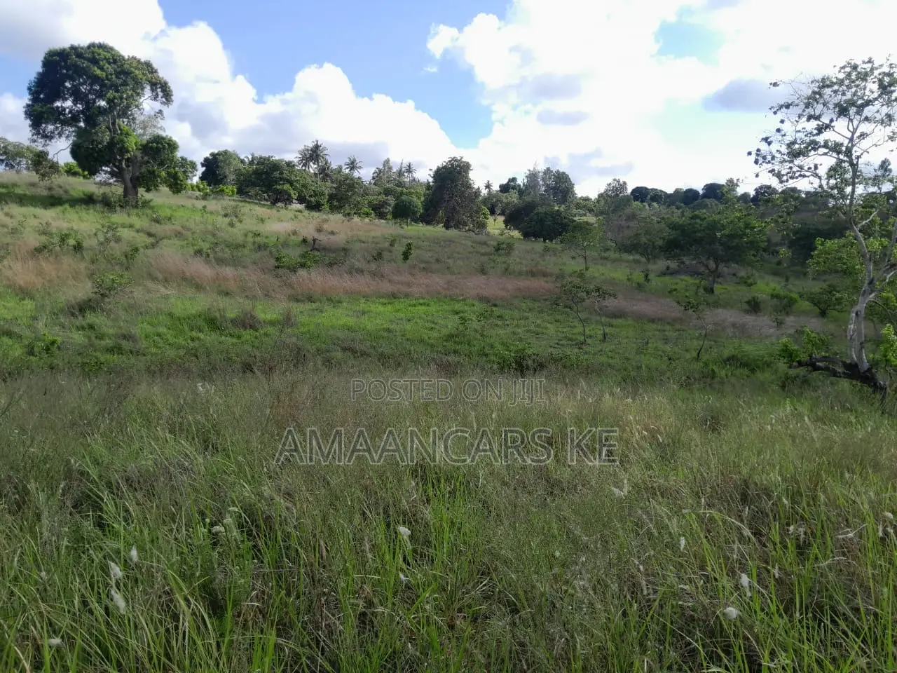 7 Acres Land for Sale in Tsimba Kwale County in Kwale