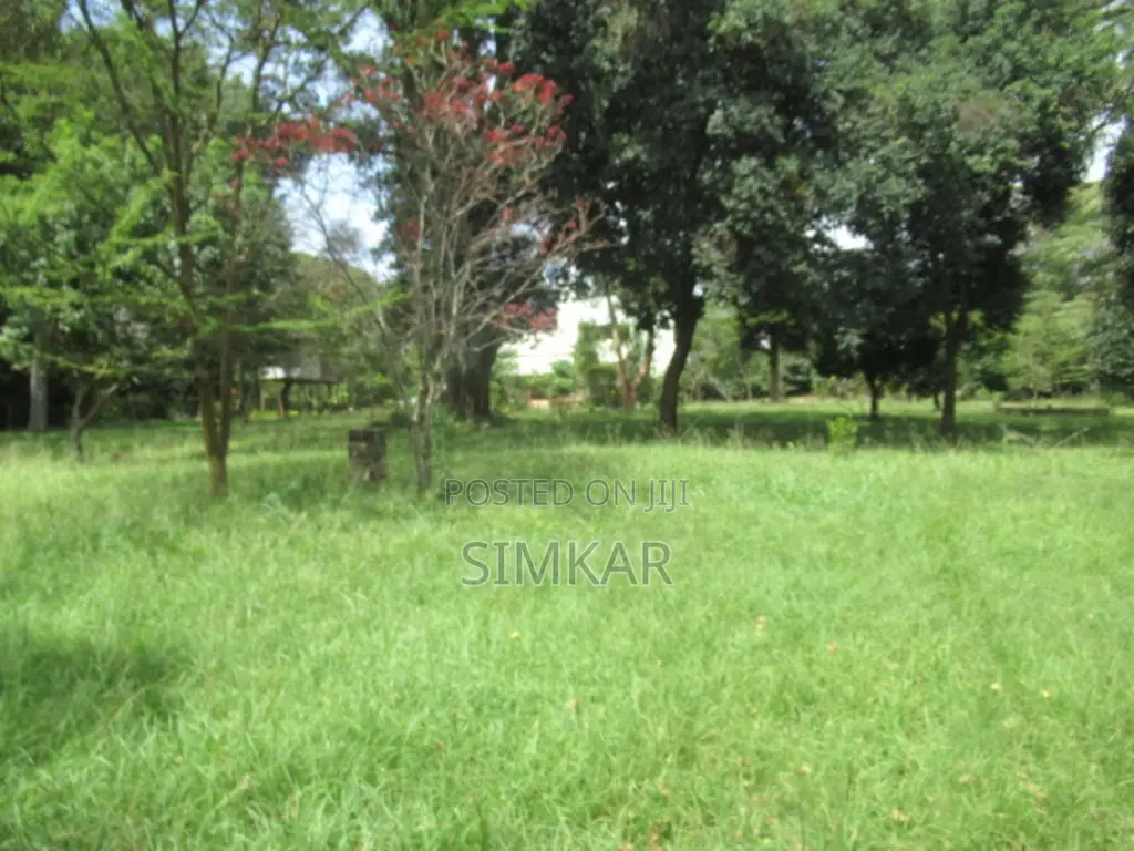 1.3 Acres of Land for Sale in Karen Hardy in Hardy