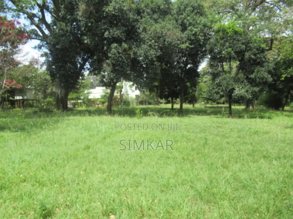 1.3 Acres of Land for Sale in Karen Hardy in Hardy