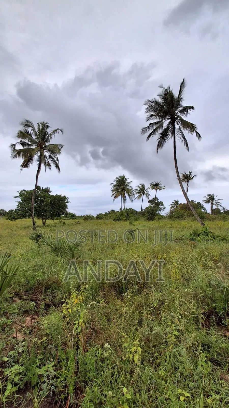 Dongo Kundu Bypass Prime Plots in Shika Adabu